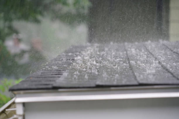 Best Skylight Installation and Repair  in Brawley, CA
