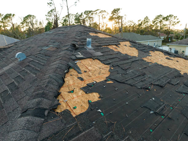 Best Roof Ventilation Installation  in Brawley, CA