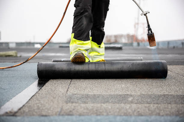 Best Metal Roofing Installation  in Brawley, CA
